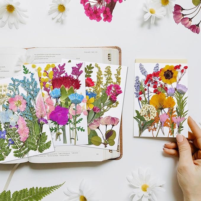 CONVELIFE Dried Flowers , 72pcs Natural Pressed Flowers and Leaves with Tweezers, Pressed Flowers for Epoxy, Jewelry, Candles, Soap, Nail Production