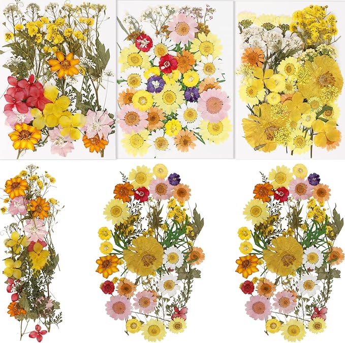 BIHRTC 100PCS Pressed Flowers for Resin Natural Real Pressed Flowers Orange Dried Flowers Assorted Dry Leaves Herbs Kits for Scrapbooking DIY Candle Accessories Jewelry Crafts Making