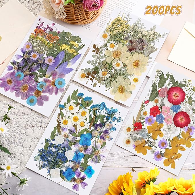 Nuanchu 200 Pcs Pressed Flowers Bulk Dried Flower for Craft Resin Mold Bookmark Scrapbooking Nail Cake White Orange Natural Pressed Dried Floral with Tweezer DIY Gift(Vivid Color,Colorful Style)