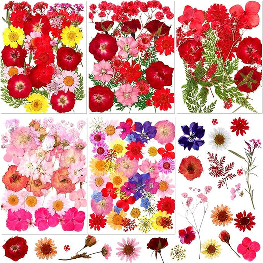 Nuanchu 167 Pcs Real Dried Pressed Flowers Natural Dried Flowers Colorful Daisy Mixed Wildflowers Leave for DIY Candle Resin Nails Jewelry Pendant Crafts Floral Art(Red,Vivid Style)